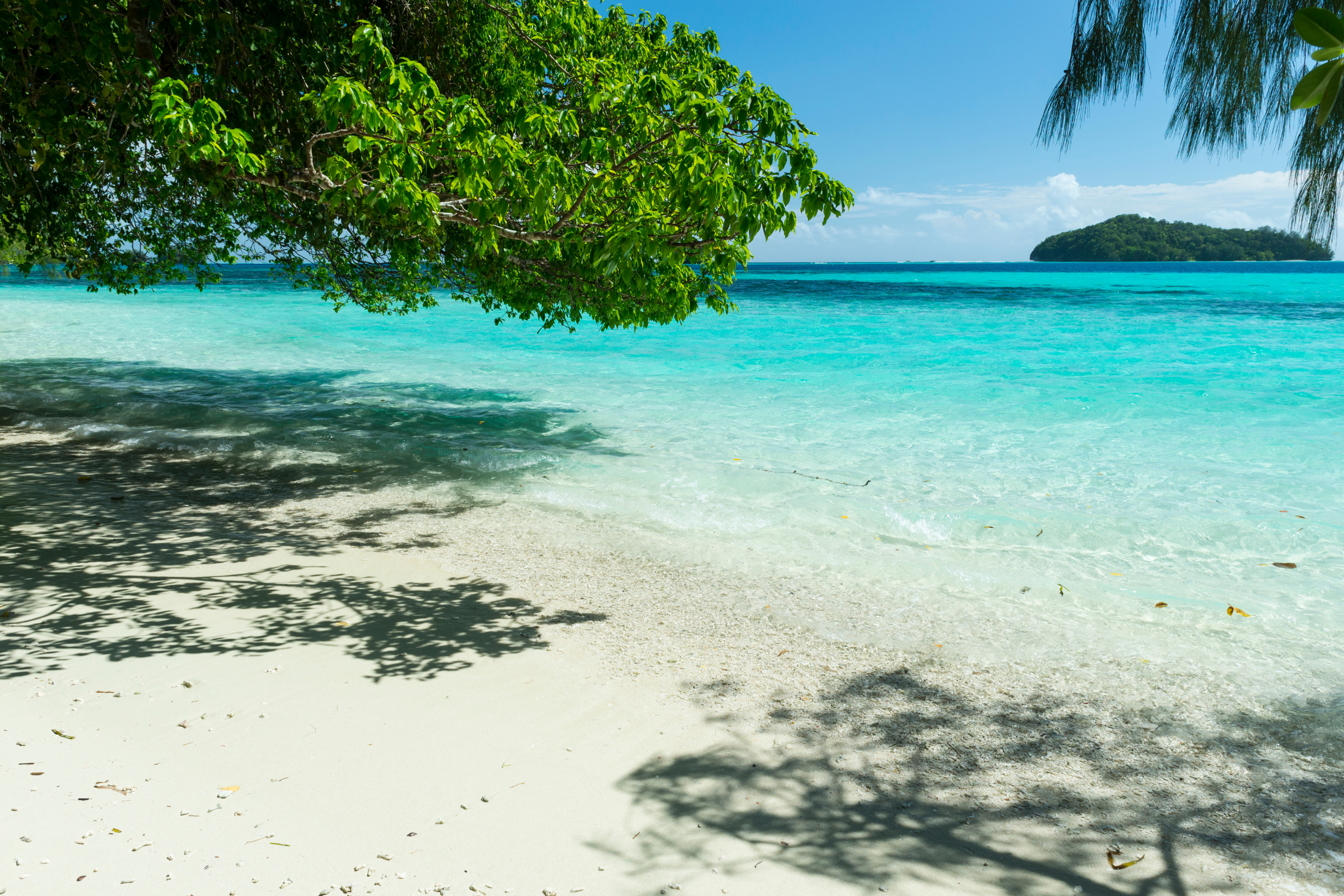 koror 03.webp